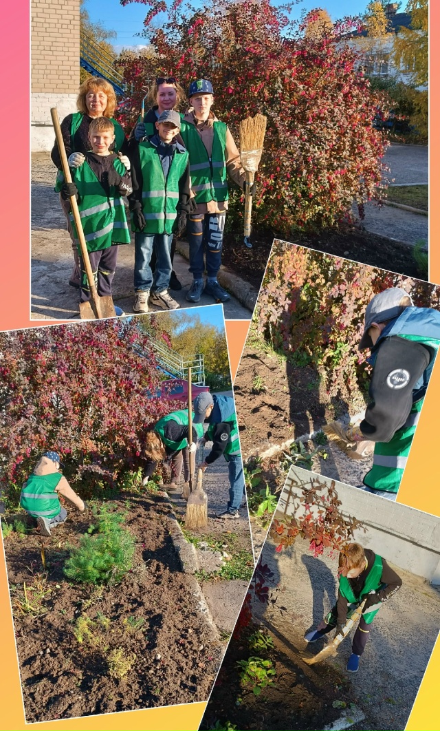  Операция "Осеннее преображение цветника"