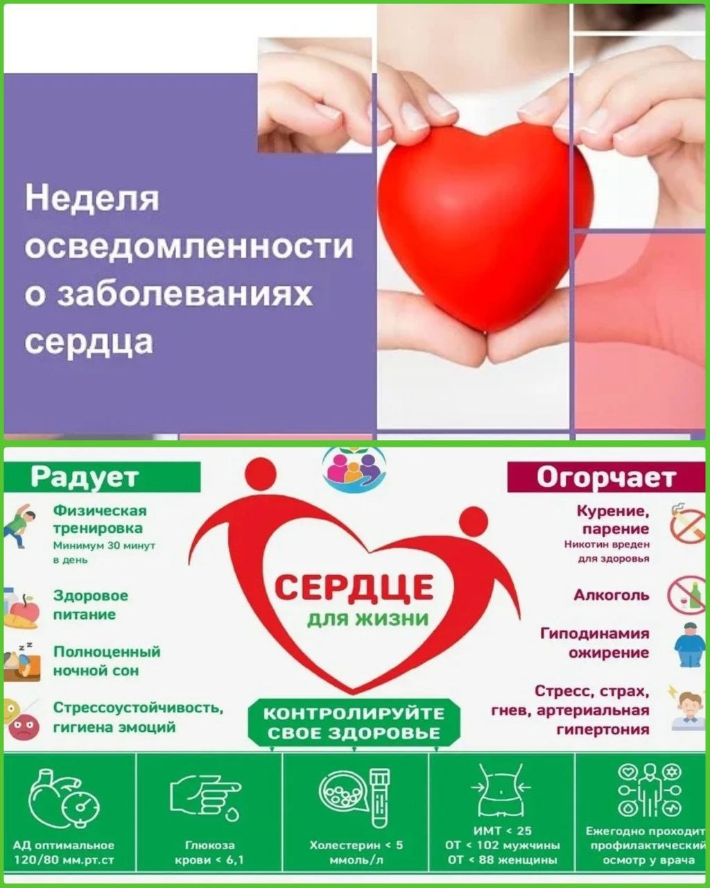  Причины возникновения заболеваний сердца 