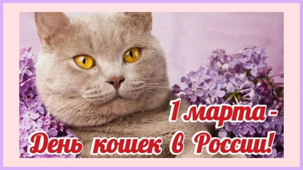 1 МАРТА - ДЕНЬ КОШЕК