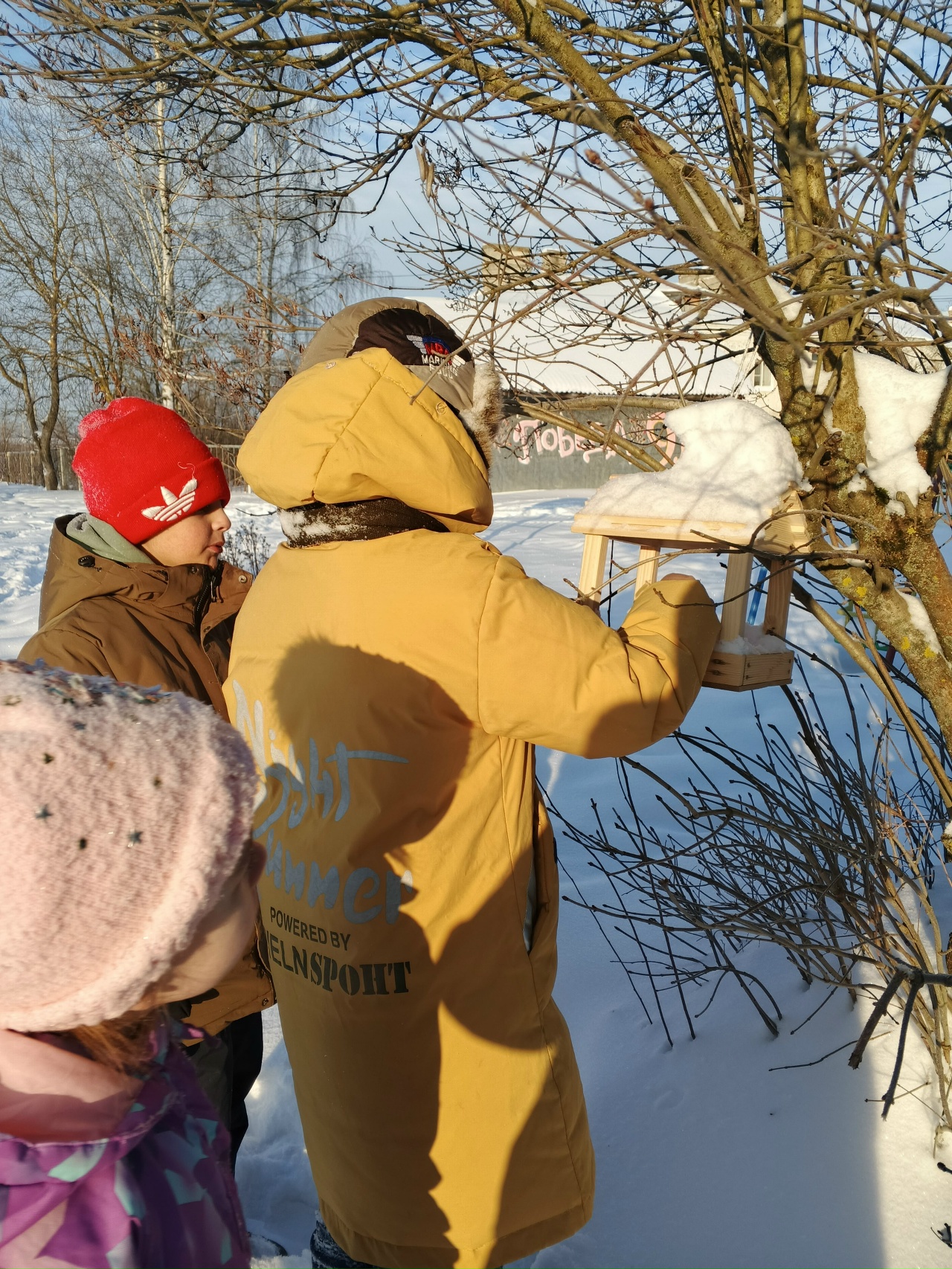 Покормите птиц зимой