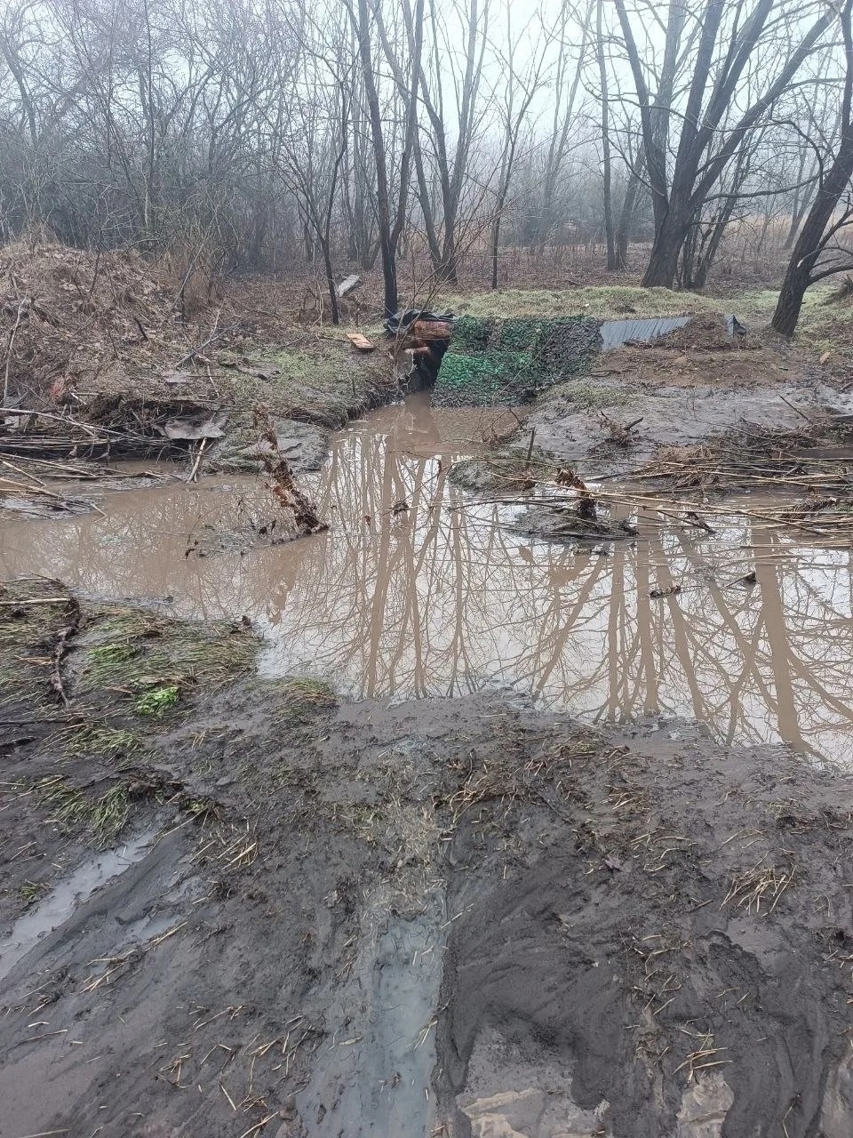 Нашим ребятам сейчас очень нужна наша поддержка.