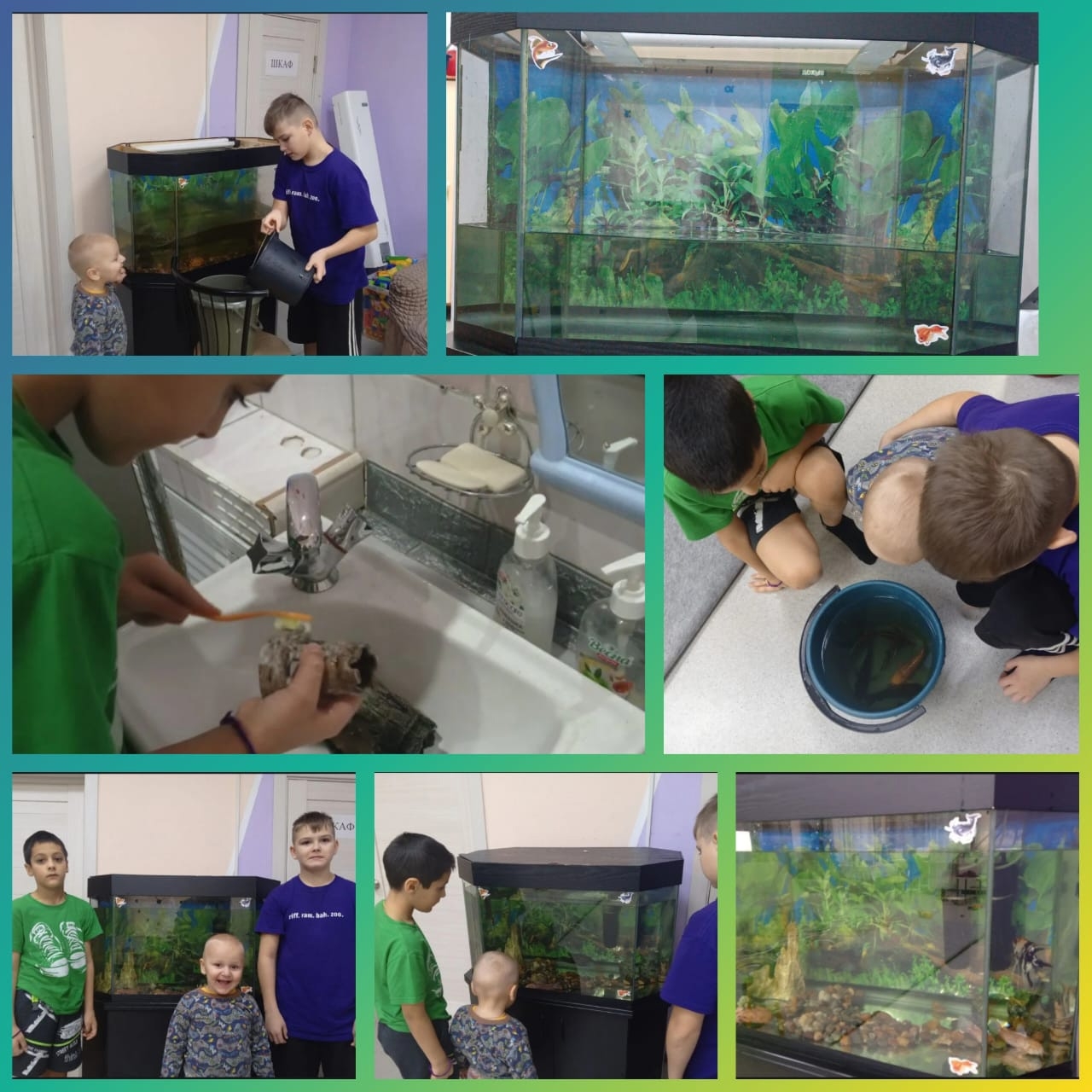 А что такое аквариум?