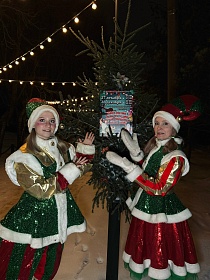 "Новогодние приключения Алеши Поповича и коня Юлия"